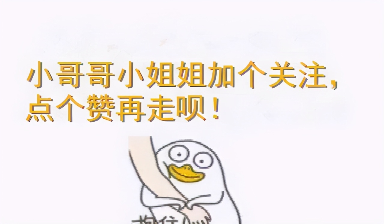 Feline Mi most 5 kinds of disgusting odour, do you have it to had been heard? 