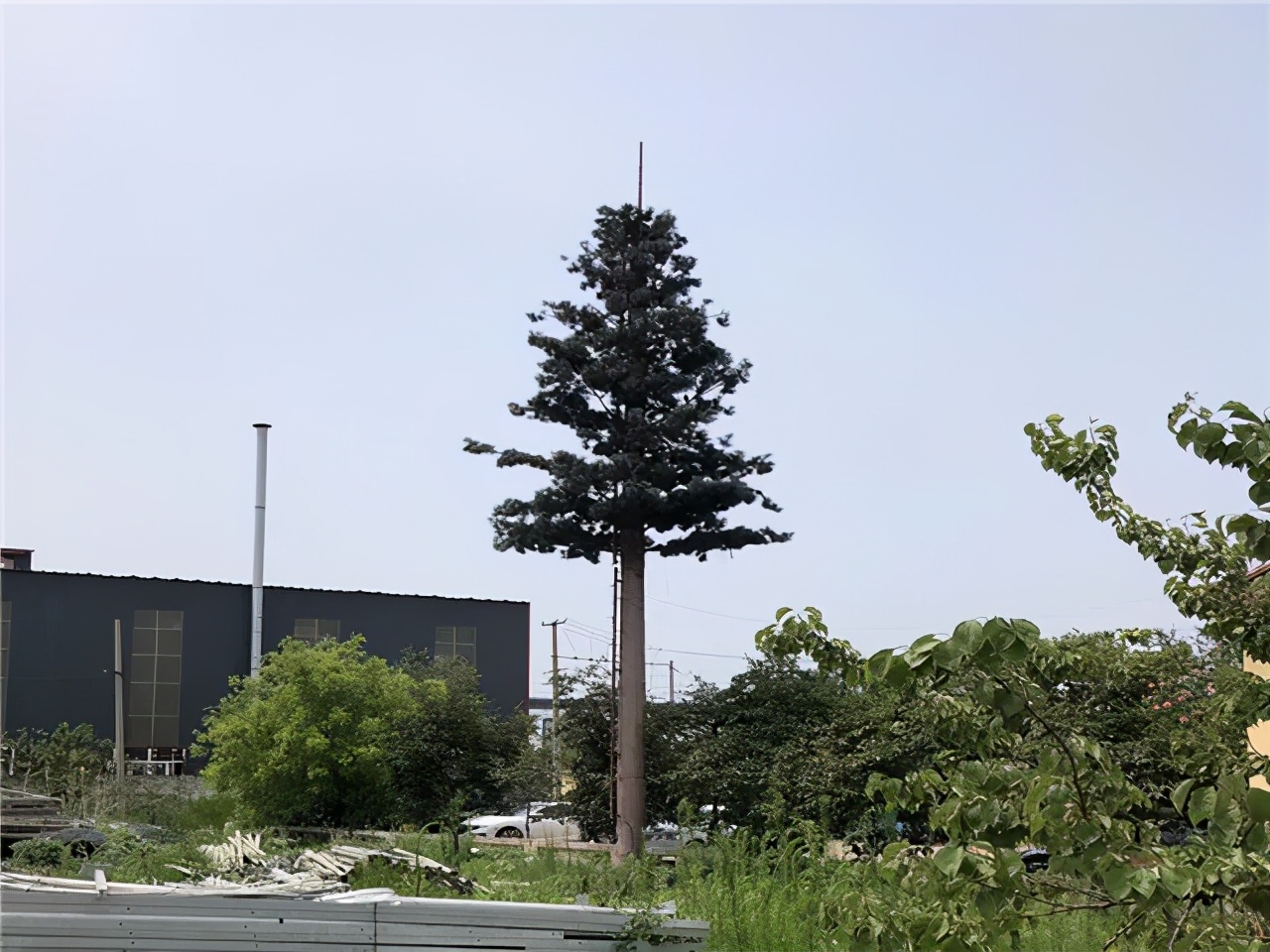 【弱电趣闻】心疼通讯人一秒,看看这些脑洞大开的基站伪装