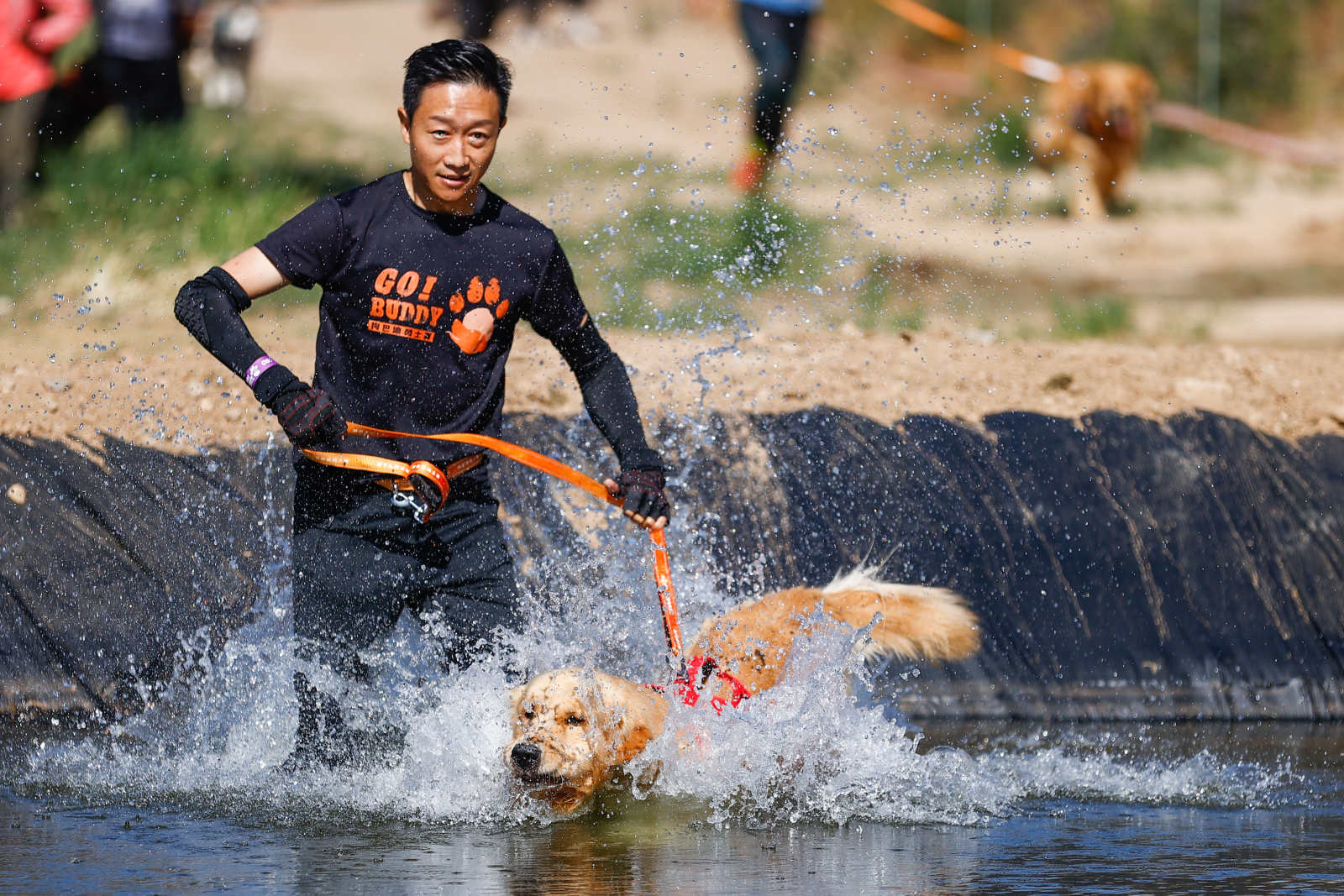 2021狗巴迪勇士赛首站登陆北京 人犬合作征战障碍赛