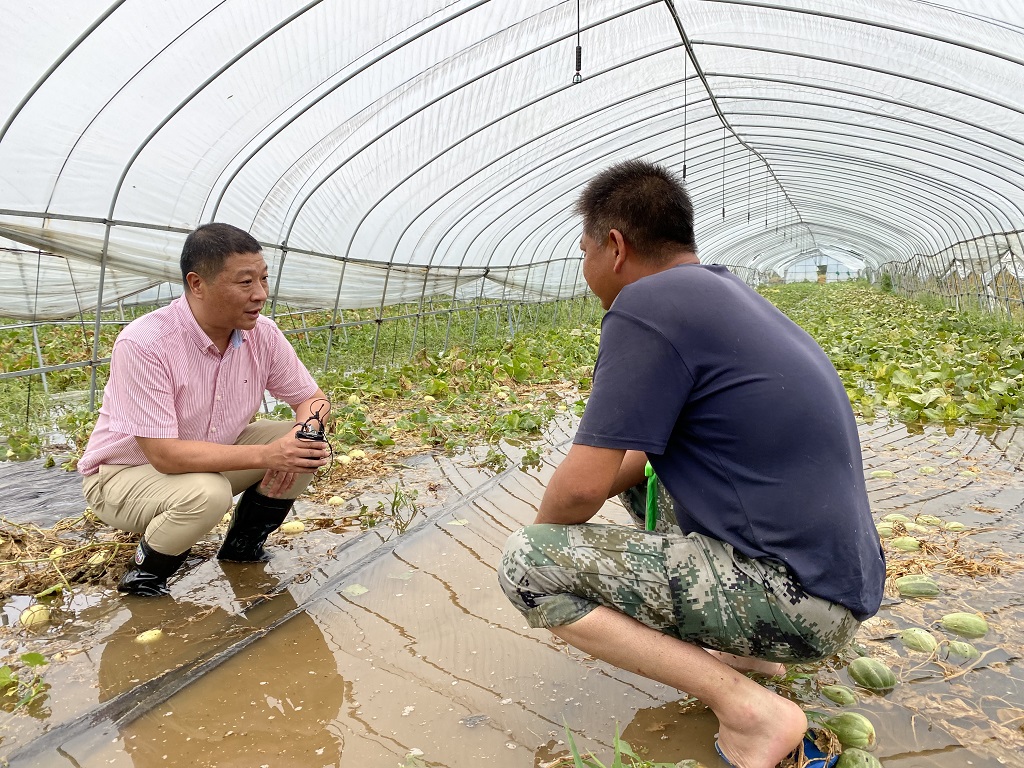 平湖人保财险：大灾快速理赔获当地媒体采访