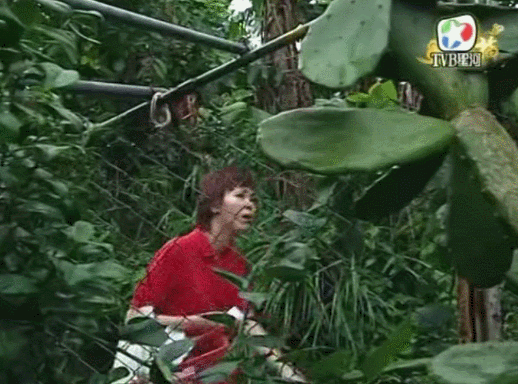 古天乐何超莲都叹“揾食艰难”，港圈至暗时刻来临？