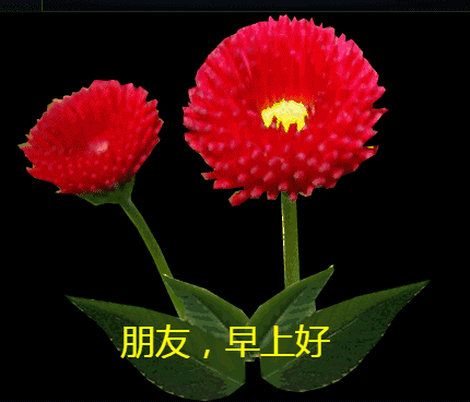 十三|2021年正月十三早上好问候语图片大全 2021最美早上好动态表情图片