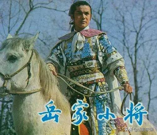 37年前的功夫片神作，观影人次过亿，李连杰之前最经典的方世玉