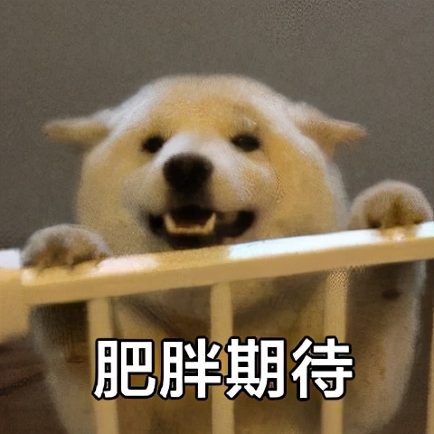 教狗狗学会定点排便，从此开启不一样的狗生