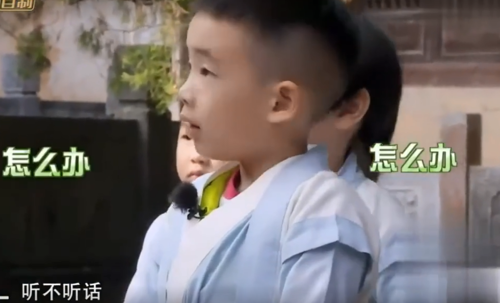 应采儿曝8岁的jasper有喜欢的女孩子，会偶尔见面，对脏话感兴趣