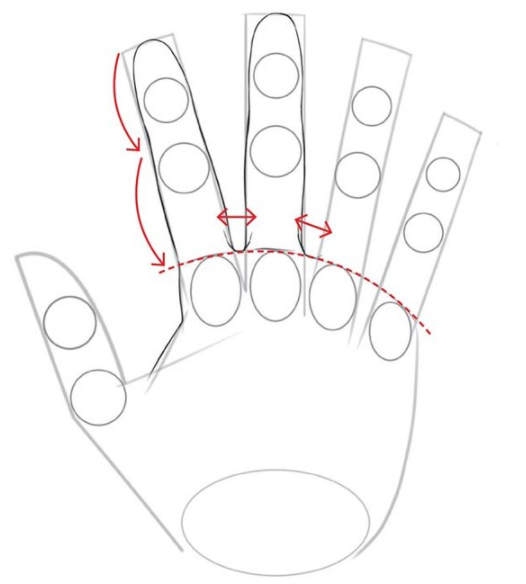 绘画新手如何画好手部？教你绘画新手画手掌的画法诀窍