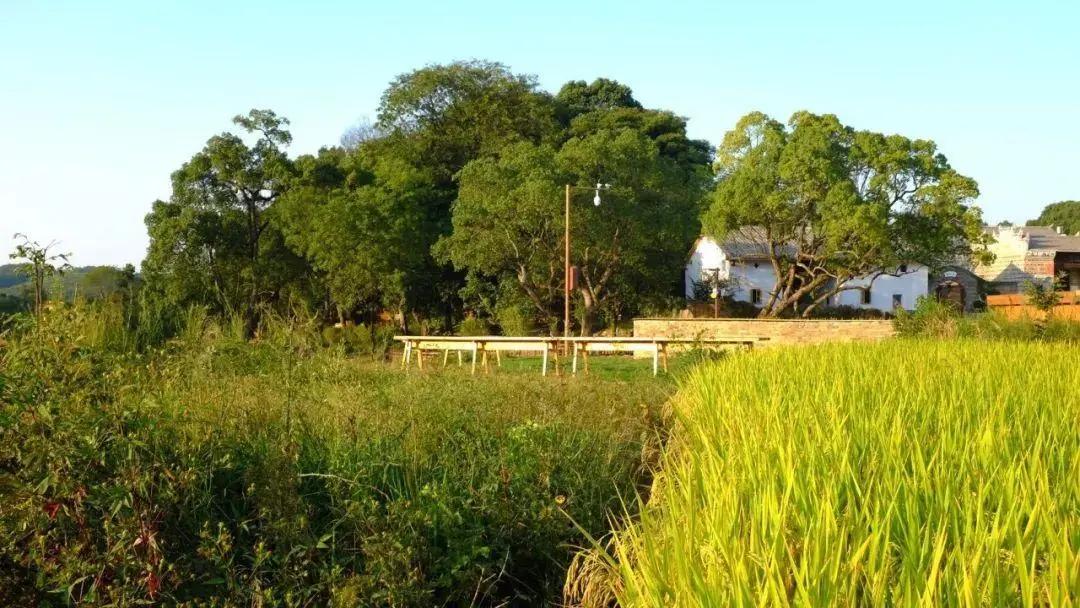 鄉(xiāng)村景觀建設(shè)絕不是隨意而為