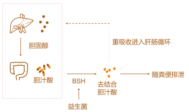 了解这4点，这个寒假让孩子远离肥胖