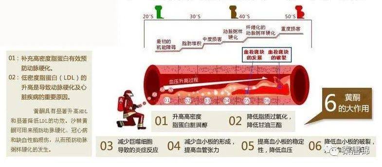 秦唐锦丝绸2020 琹唐锦黄金丝-帝锦 正式发布