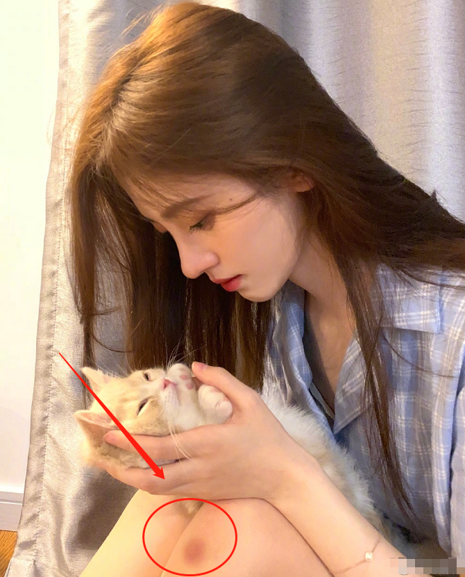 鞠婧祎不理恶评，晒撸猫照介绍新成员，我却只