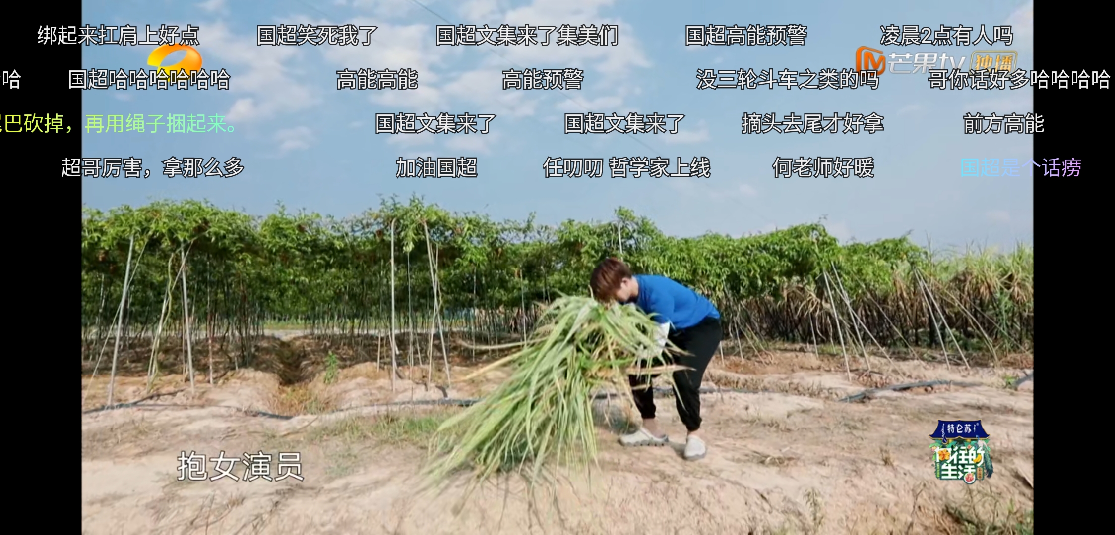 任嘉伦对谭松韵就是不一样，《向往的生活》偷