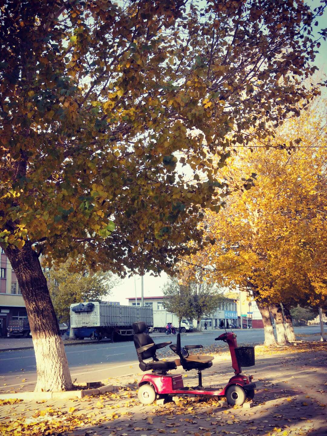 散文，静坐时光里，看悄悄溜走的秋季