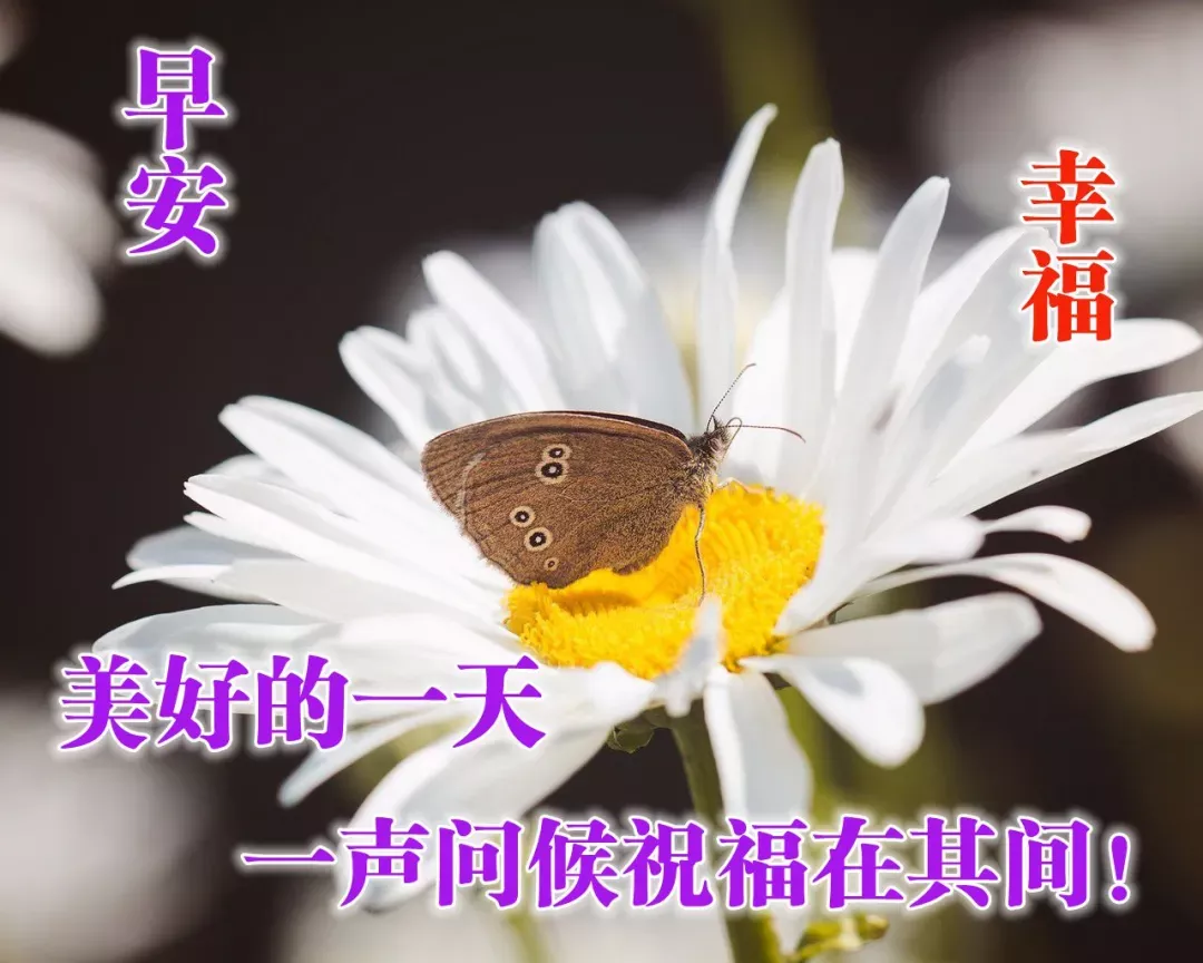 早上好图片加祝福语，早上好表情带问候语，早安图片