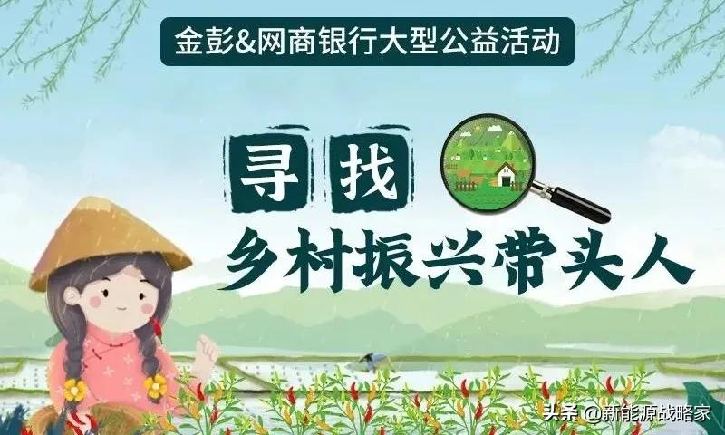 能上牌，代步、接娃都方便的电动小三轮，金彭、宗申等都出手了