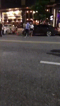 搞笑gif神评:女友首次开车上路,让人操碎了心