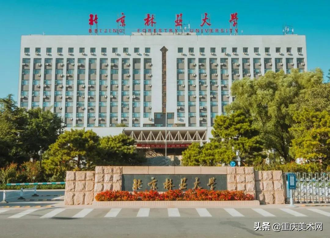 北京林业大学2021年美术类本科专业录取分数线