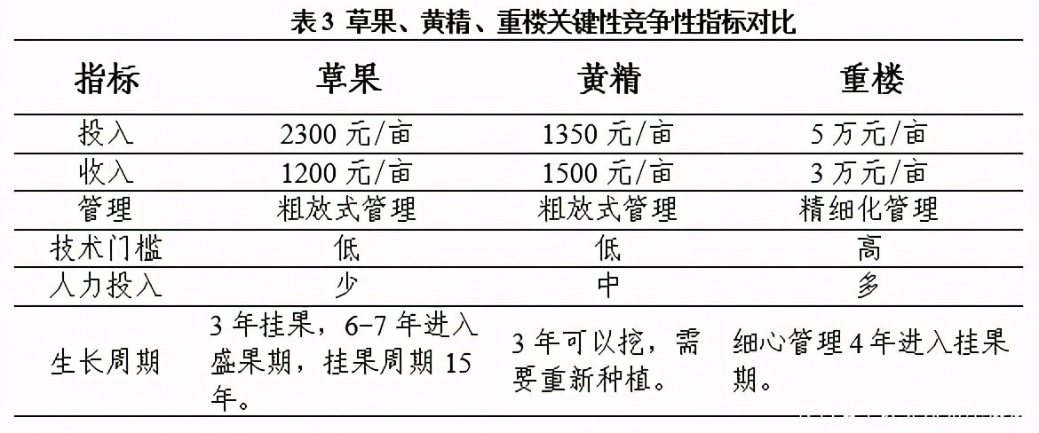 2020年我国草果市场与产业调查分析报告