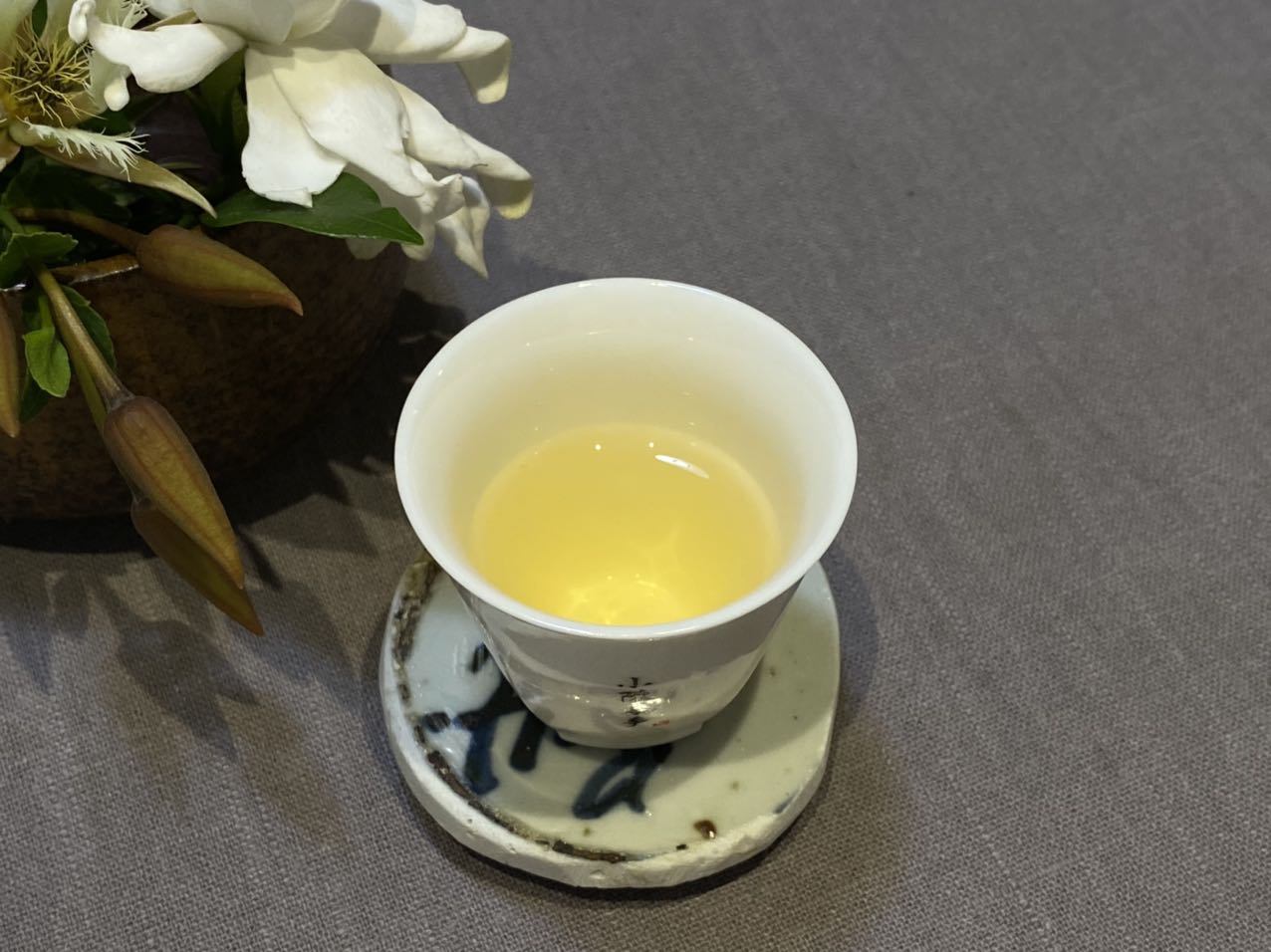 為什么白茶要從壽眉喝起？3個理由，作為入門白茶夠不夠格？