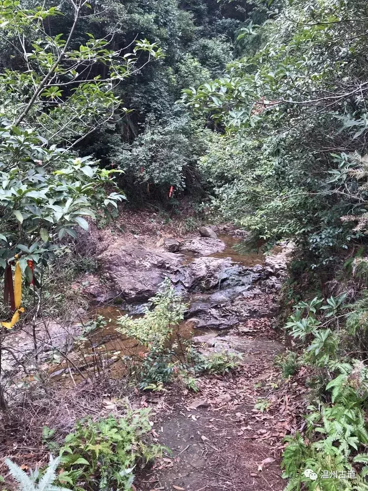 十八洞、迷魂谷、显胜门......雁荡险峰风光无限美!