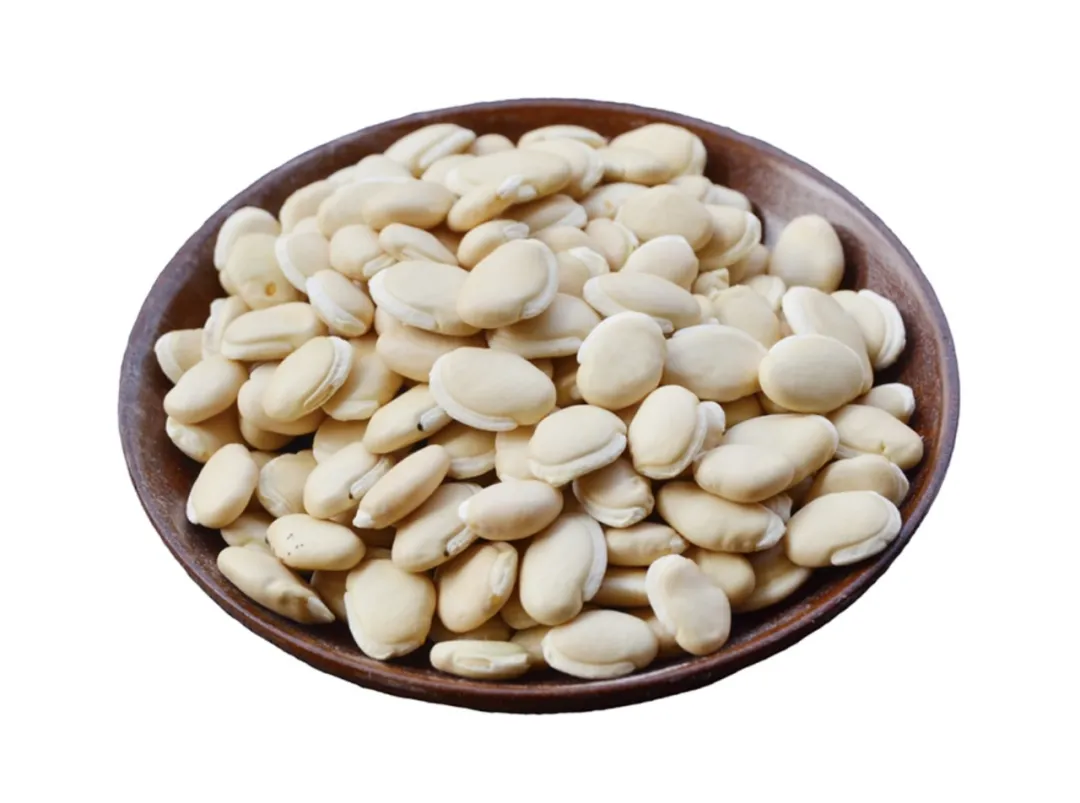 消暑化湿还健脾,这颗豆豆有奇功