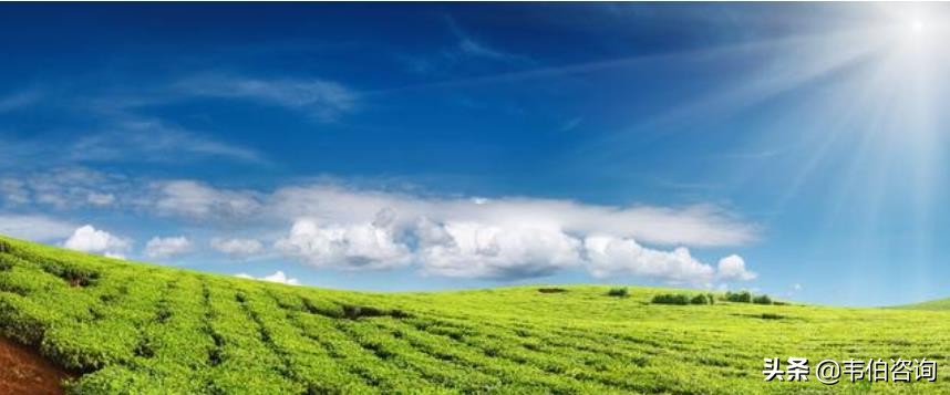 一文看懂中國(guó)VOCs治理產(chǎn)業(yè)鏈上中游行業(yè)及市場(chǎng)格局