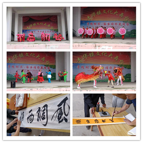 卧龙区青华镇举办“寻找村宝，家乡因你更精彩”活动