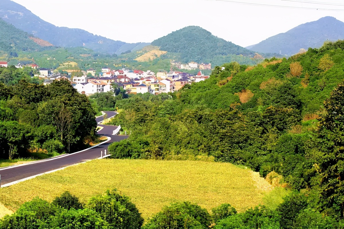 「文旅案例」“公司村農場(chǎng)”模式，6年時(shí)間村集體資產(chǎn)增長(cháng)300多倍