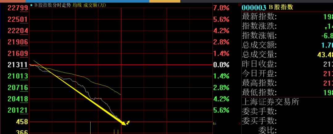 卧槽：B股指数暴跌7%