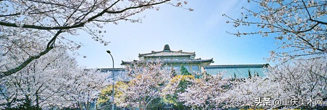 “没考上美院,是不是就比不上别人了?”一所好大学到底多重要