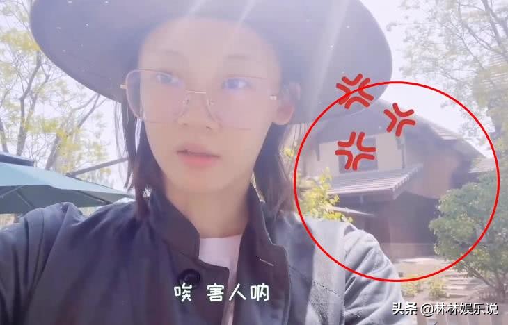 苗苗晒日常，家中豪宅惹人羡慕，看清怀孕后的