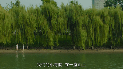 片中演员90%是导演亲戚，一波“虎”操作后，竟