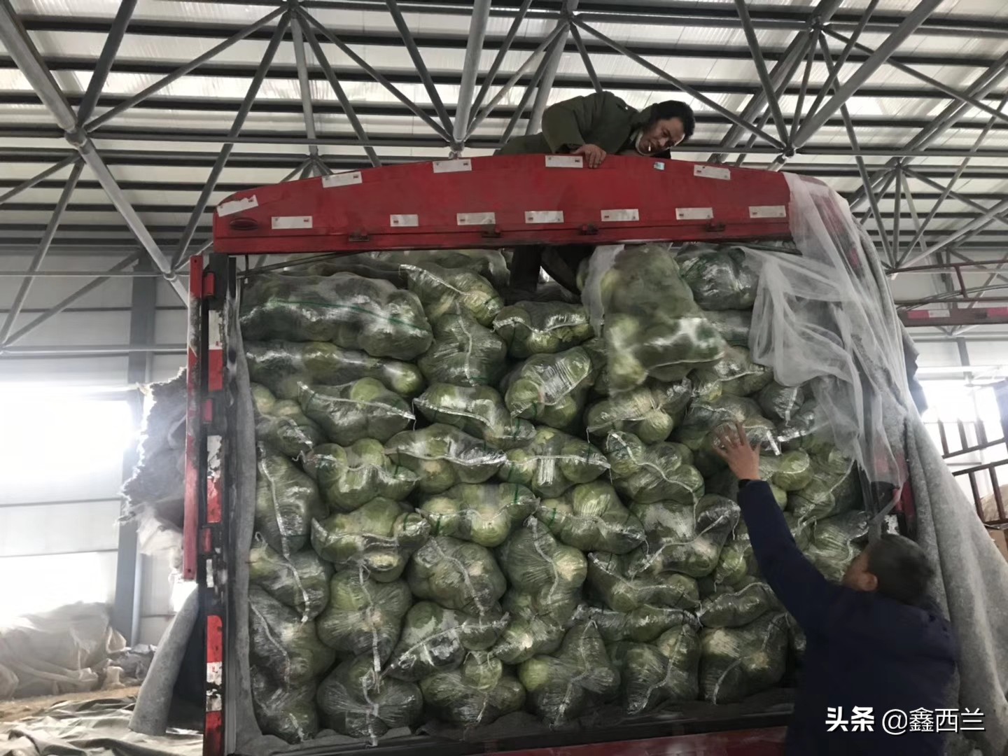 电商老炮对疫情过后，蔬菜产业发展的一些看法