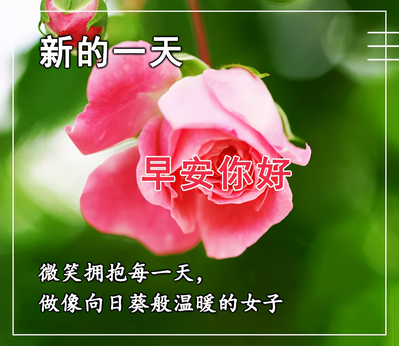 2021最新的早上好图片，最有特色的早上好动图图片