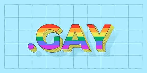 又有新域名可以用了 .GAY上线了