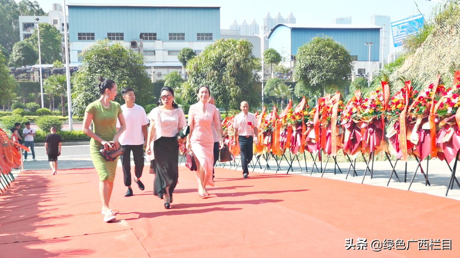 南宁骆越民族医院揭牌成立揭开骆越医药遗产神秘面纱