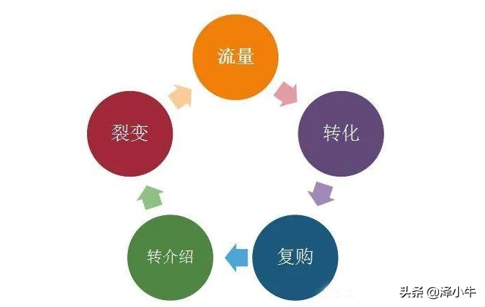 营销推广的特点是什么什么是品牌营销