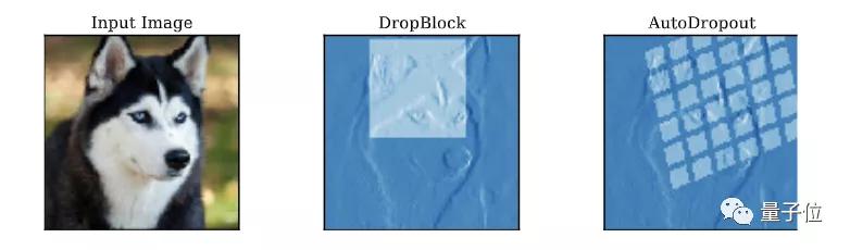 谷歌大脑最新研究：AutoML方式自动学习Dropout模式