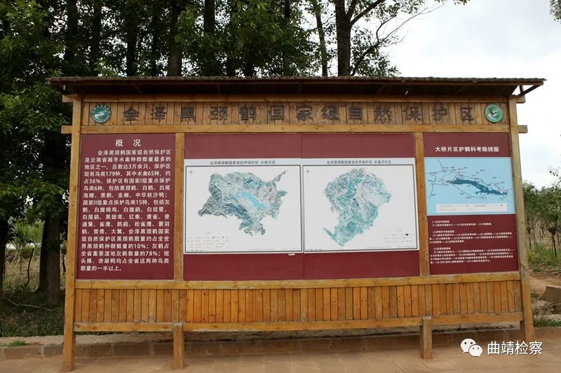 握指成拳 汇聚“生物多样性保护”最强合力 曲靖市检察院邀请人大代表、政协委员视察公益诉讼检察工作
