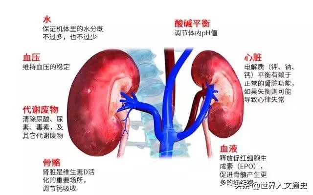 当年卖肾买苹果手机的男孩怎么样了？获赔上百万，现状令人唏嘘