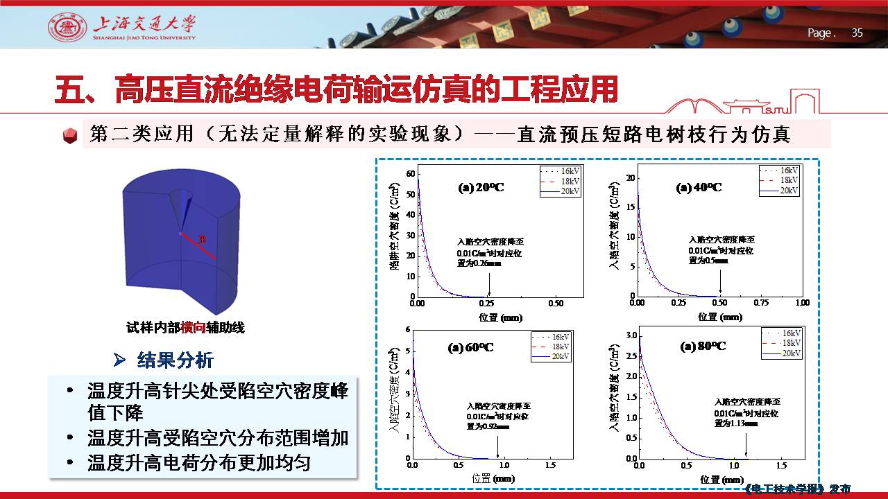 上海交大尹毅教授：聚合物绝缘高电场下电荷输运的数值仿真及应用