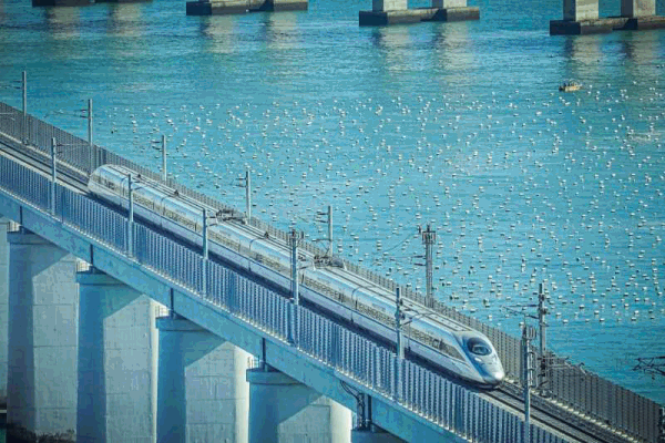 动车组跨海试跑！这条铁路马上要通了