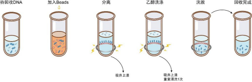 磁珠知识总结大全：小东西也有大能耐