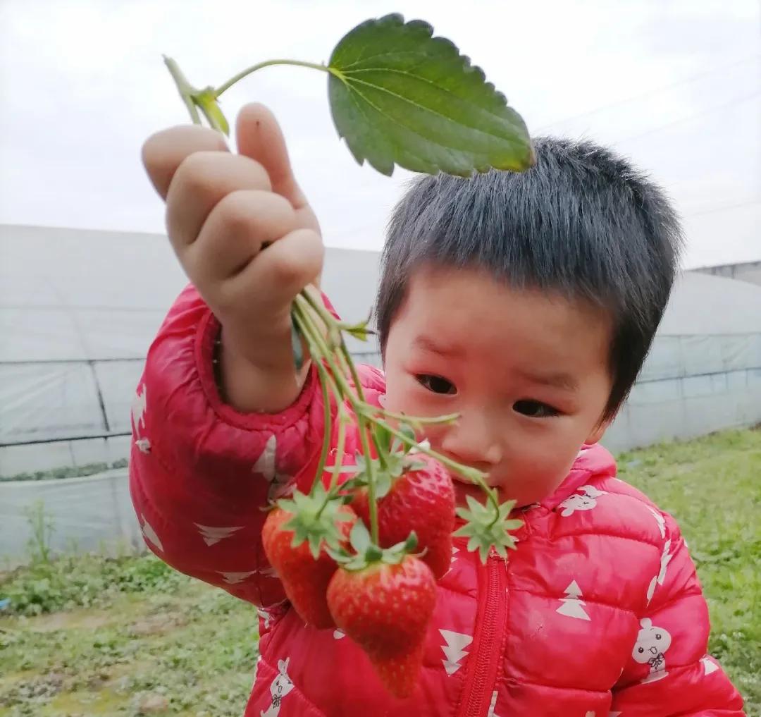 新年出游就是要你嗨！你的春游秘籍请查收