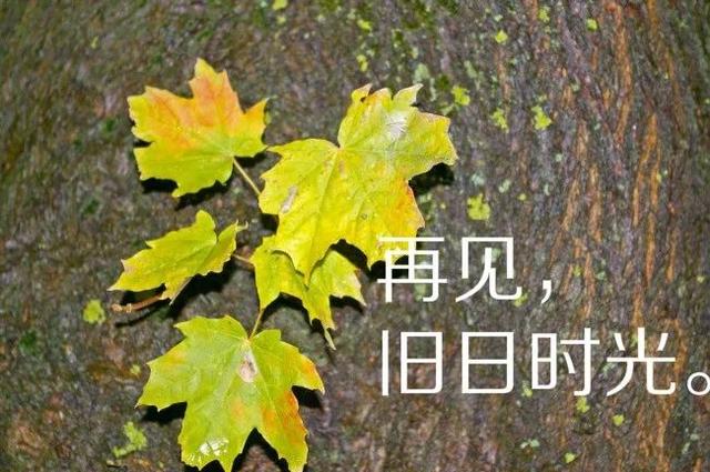 最新心情说说个性语句 适合自己的心情语录