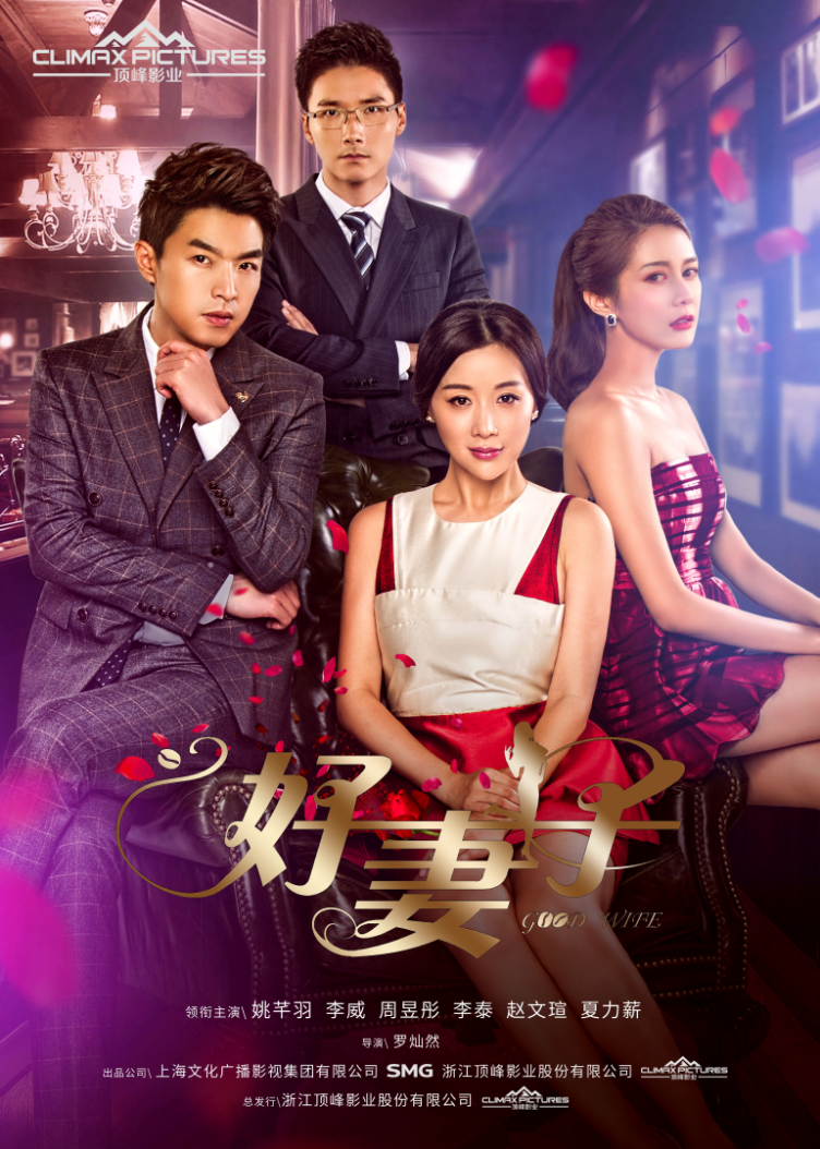 这部顶着新版《回家的诱惑》的电视剧《好妻子