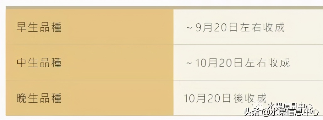 日本苹果为什么种的好？走进日本苹果第一大县“青森县”