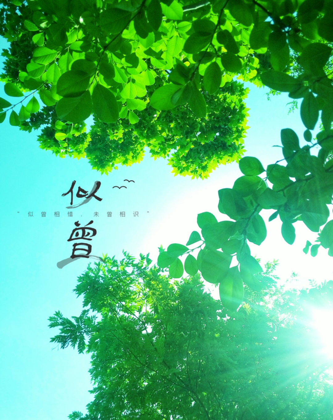 用诗词来表达热-第9张图片-非凡网