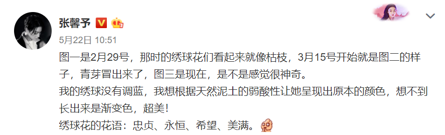 张馨予坦言收视率再高也不要再和热巴合作？给