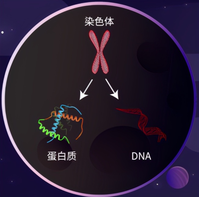 她是科學玫瑰,DNA背後的黑暗女神,卻因是女人錯失了諾貝爾獎 - 資訊咖