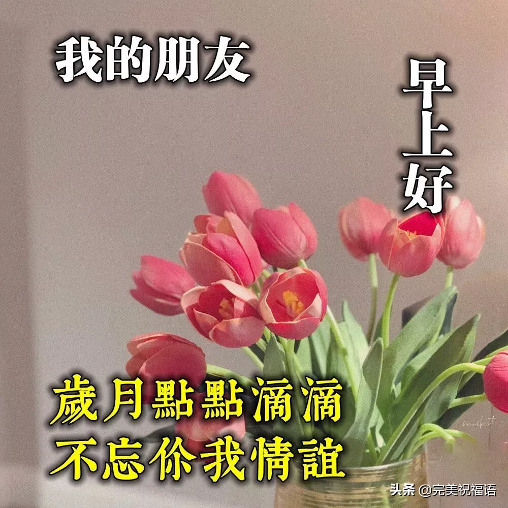 早上好唯美暖心问候语 早安祝福语漂亮图片图片